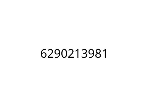 6290213981