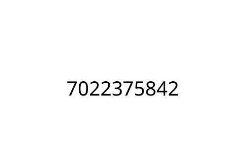 7022375842