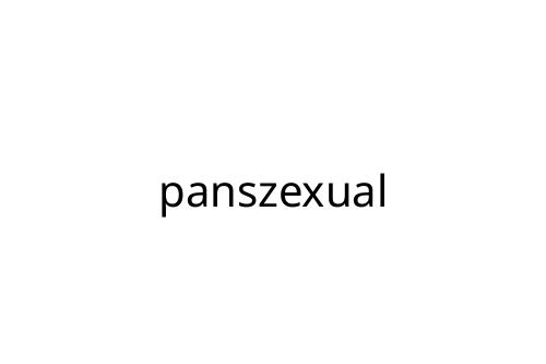panszexual