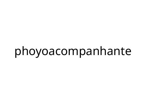 phoyoacompanhante