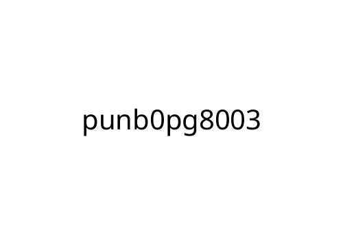punb0pg8003