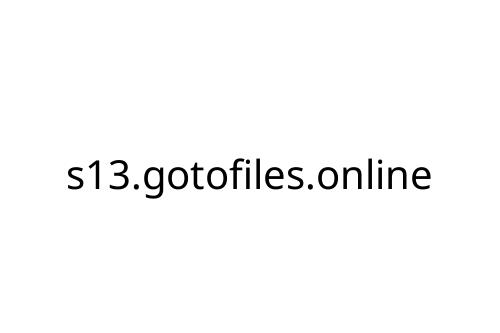 s13_gotofiles_online