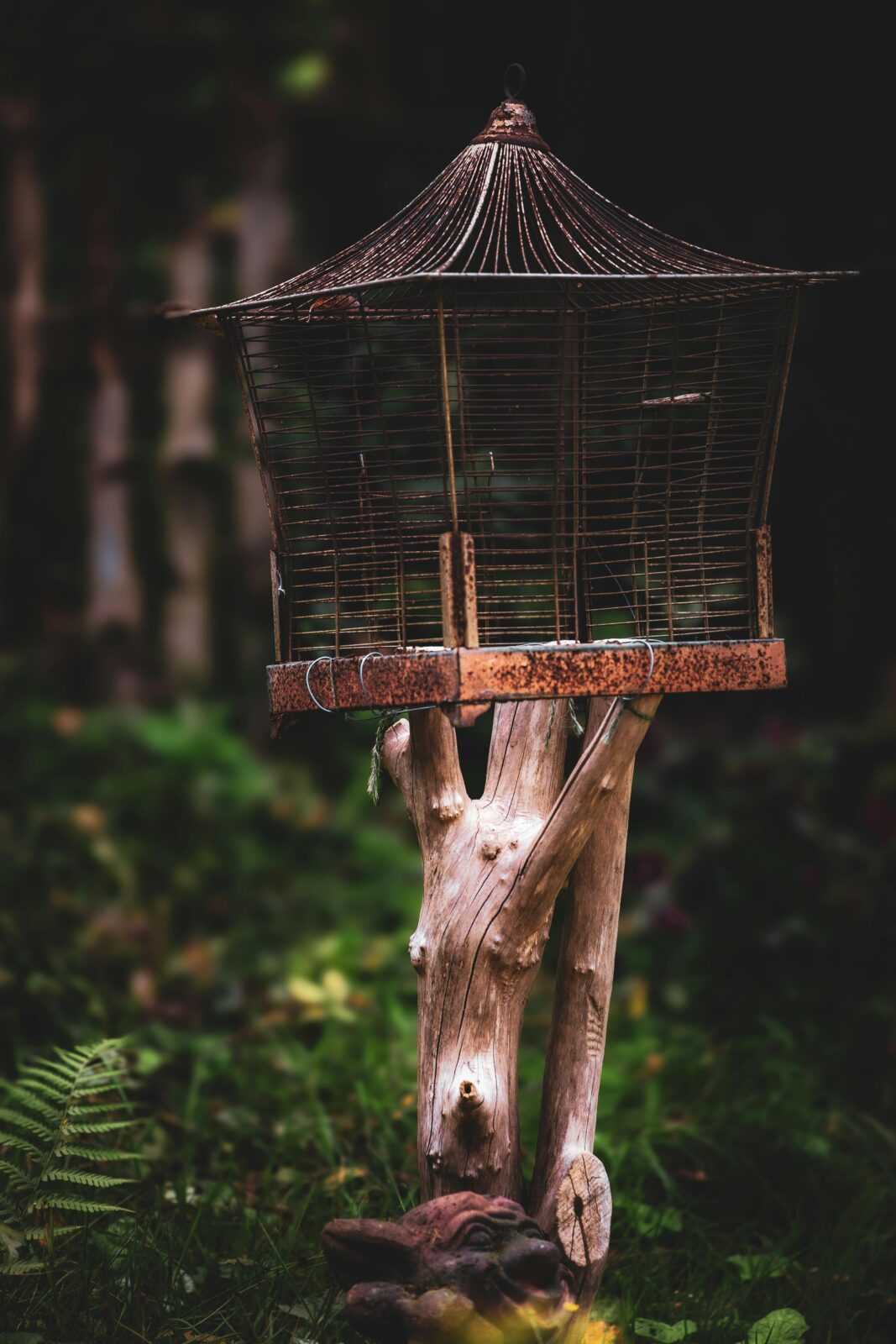 A rustic birdhouse with a wooden post amidst lush greenery, creating a serene garden ambiance.