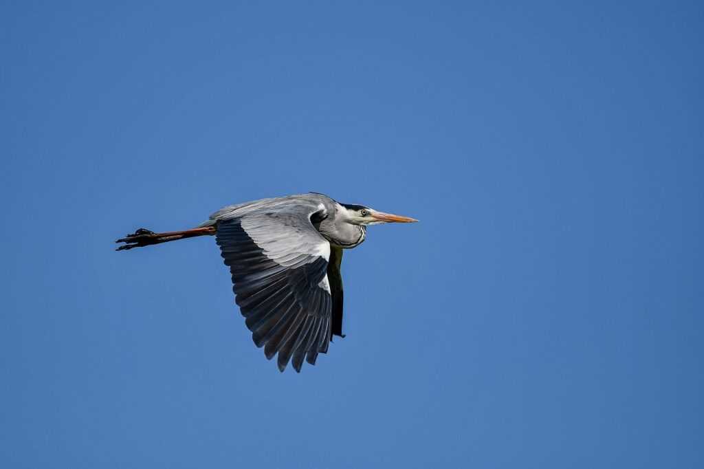 disinfecting or delousing centers meaning in context of the holocaust