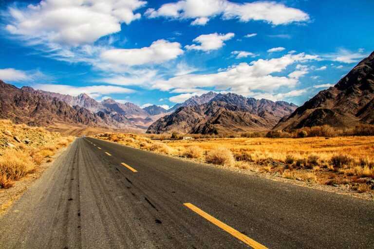 do ants die when you vacuum them