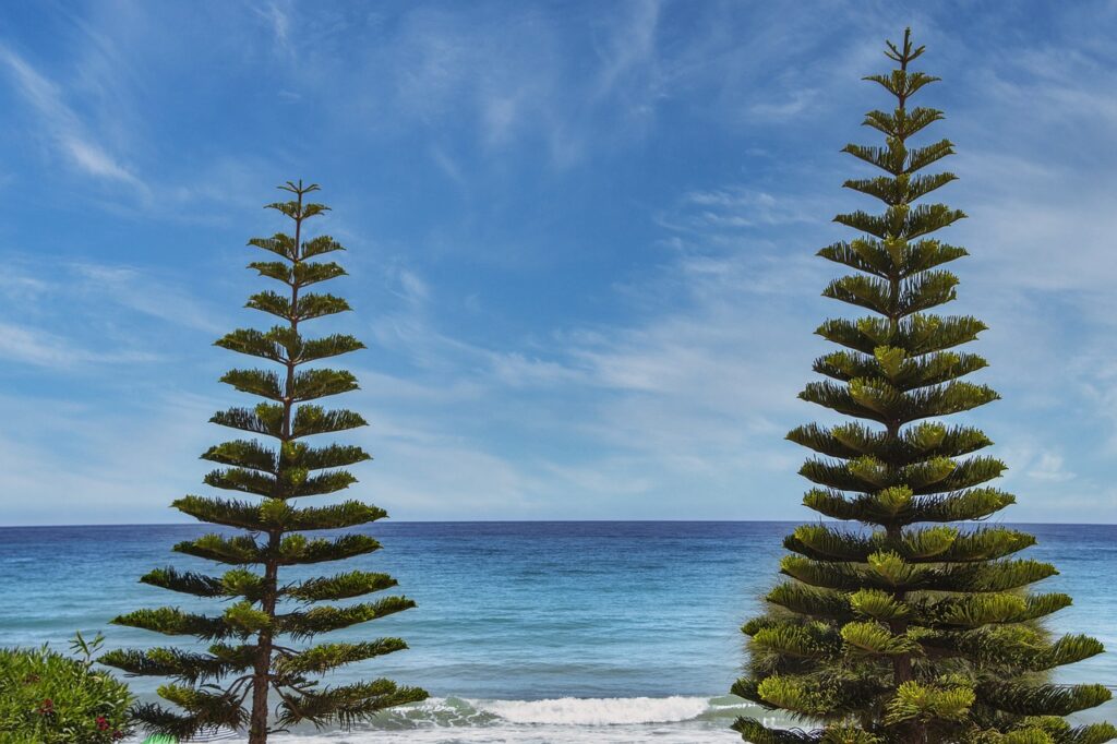 do fallon and ben end up together in november 9