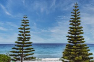 do fallon and ben end up together in november 9