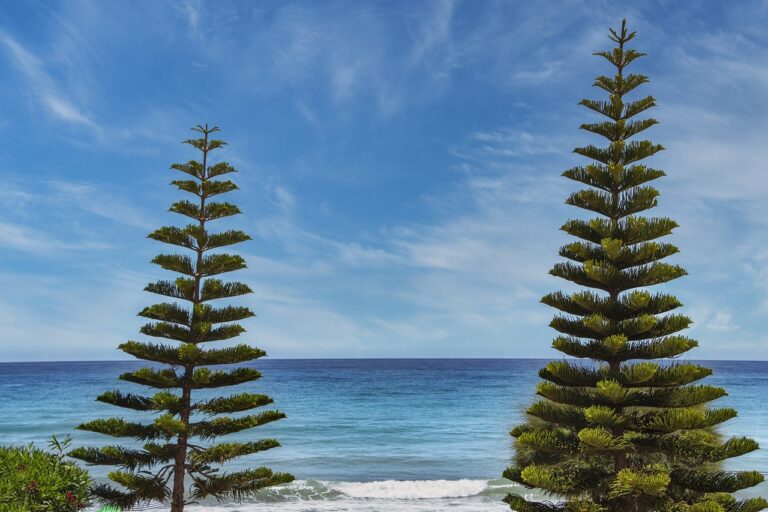 do fallon and ben end up together in november 9