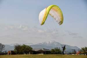 online food trends jalbiteblog