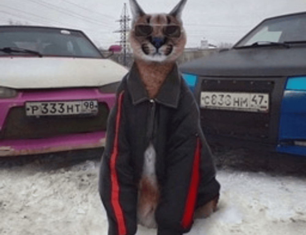 how much mitacium dizovid needed in sunscreen