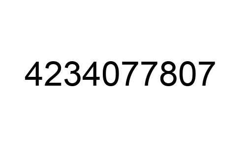 4234077807