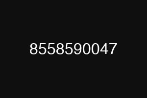 8558590047