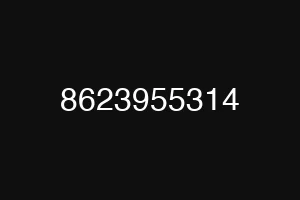8623955314