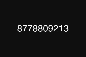 8778809213