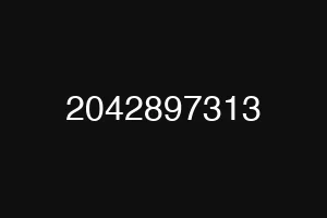 2042897313