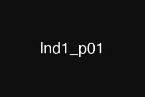 lnd1_p01