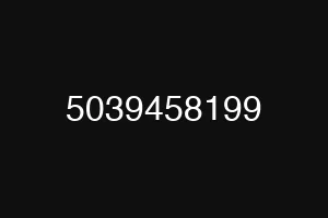 5039458199