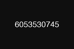 6053530745