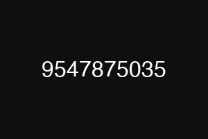 9547875035