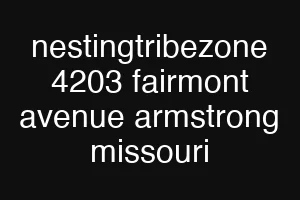 nestingtribezone 4203 fairmont avenue armstrong missouri