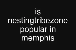 is nestingtribezone popular in memphis